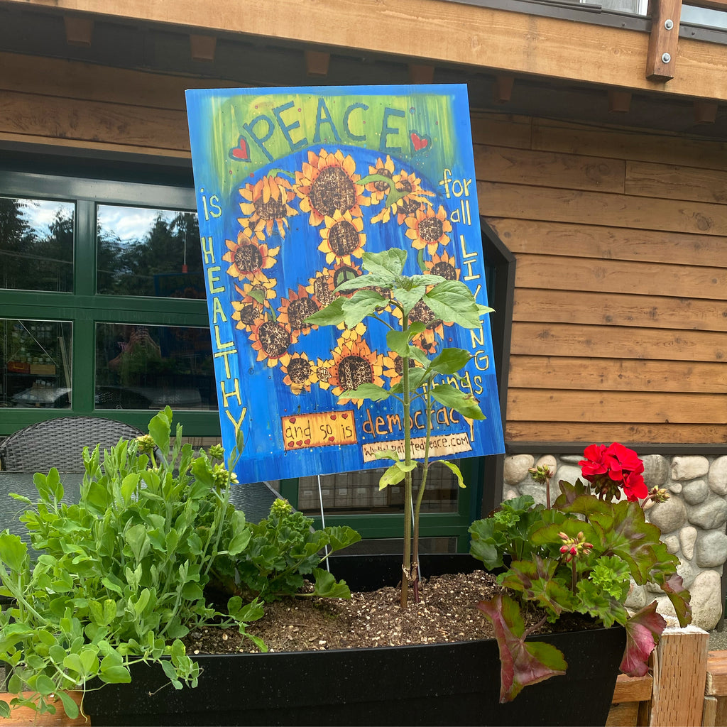 The perfect addition to any size garden 🌻