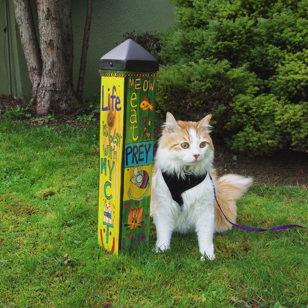 Is your cat your valentine this year?