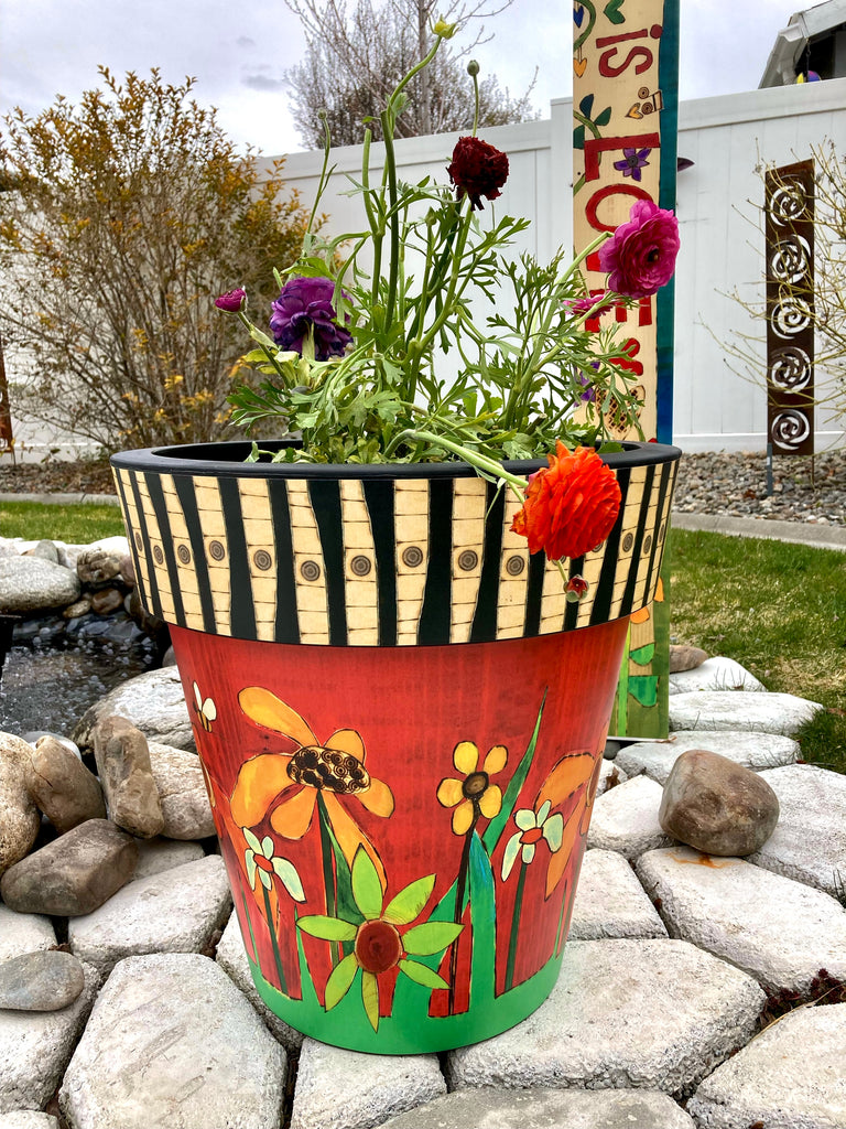 It’s the perfect time to start planting your pots. Just look how these flowers pop, so beautiful!🌷