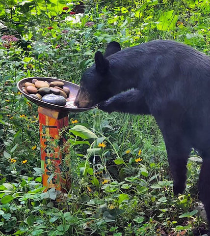 BIRDBATHS