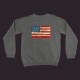 United We Stand Sweatshirt Pepper / Small (S)