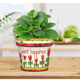 Plant Happiness Mini Pot - New