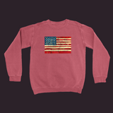 United We Stand Sweatshirt Crimson / Small (S)